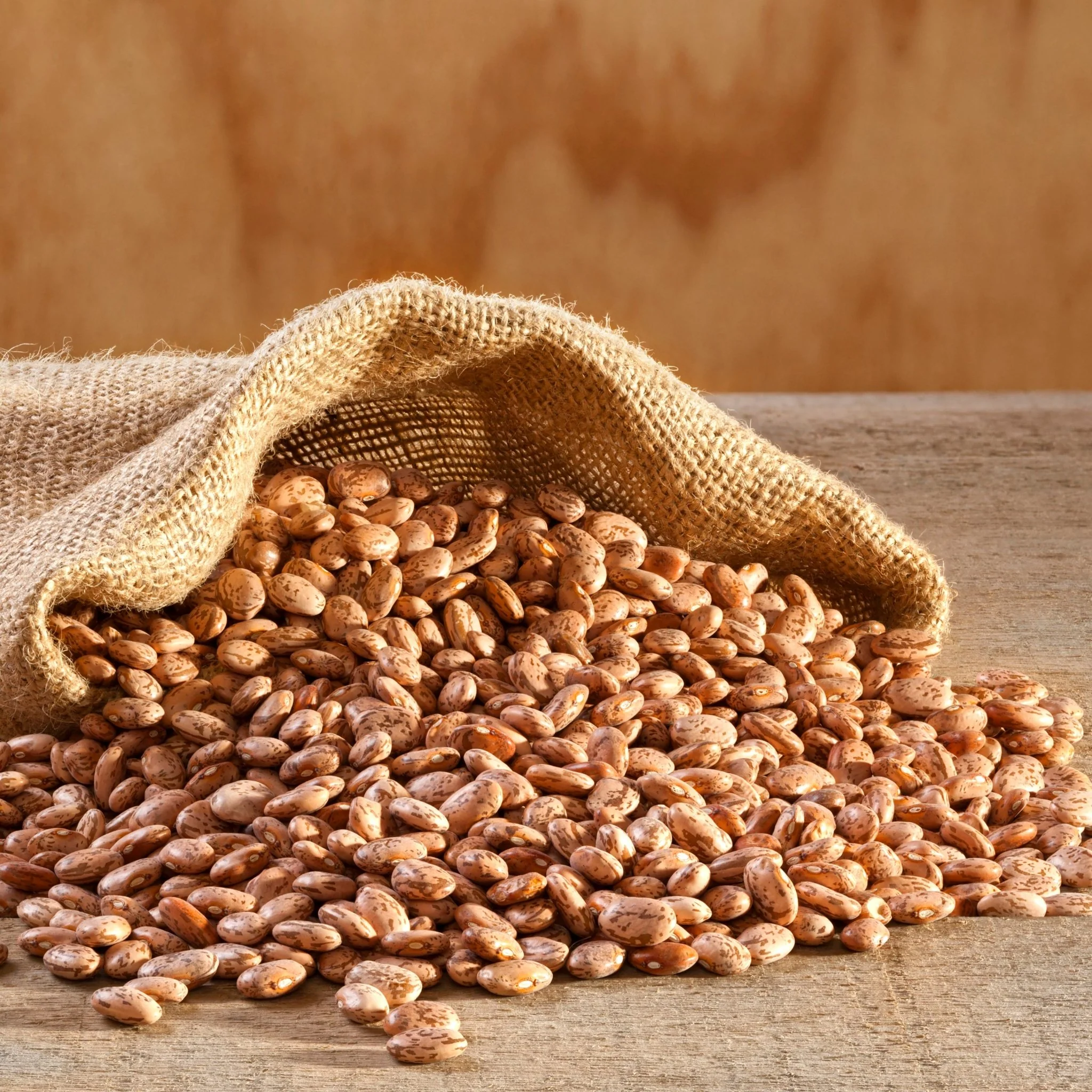Dried Pinto Beans 4 Gallon Pail, 311 Servings - Image 5